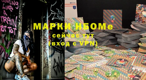 бошки Бронницы