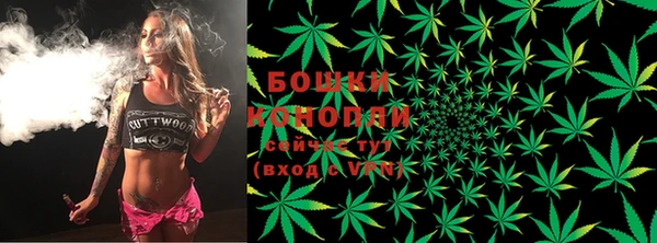 бошки Бронницы