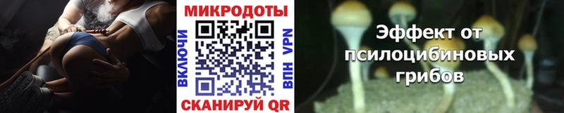 купить закладку  Якутск  Псилоцибиновые грибы прущие грибы 